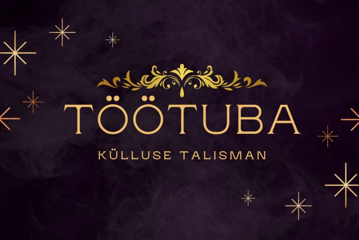 KÜLLUSE TOOMINE ENDA ELLU